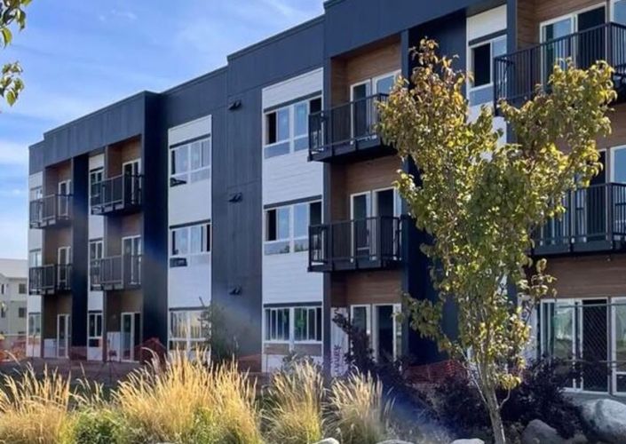 Urban Pines Urban Pines