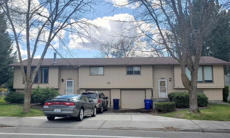 Dishman Duplex Two