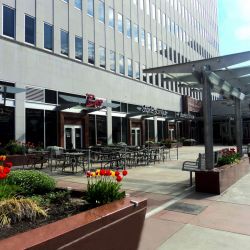 Spring at Lincoln Plaza